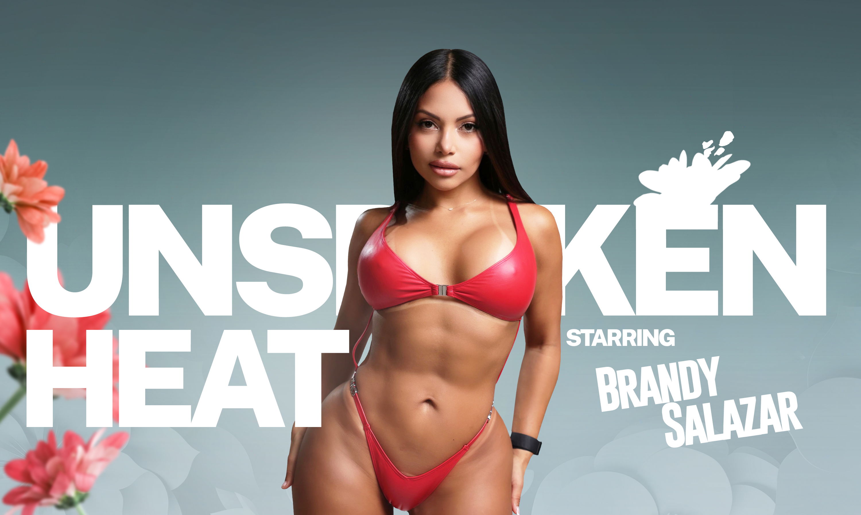 VR Porn Video Cover: Unspoken Heat