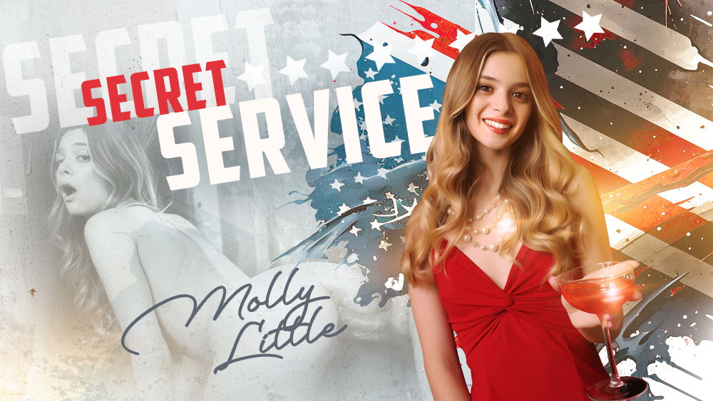 VR Porn Video Cover: Secret Service